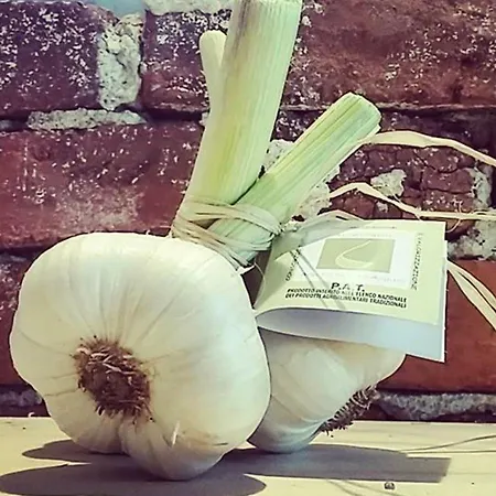 Dolce Отель типа 